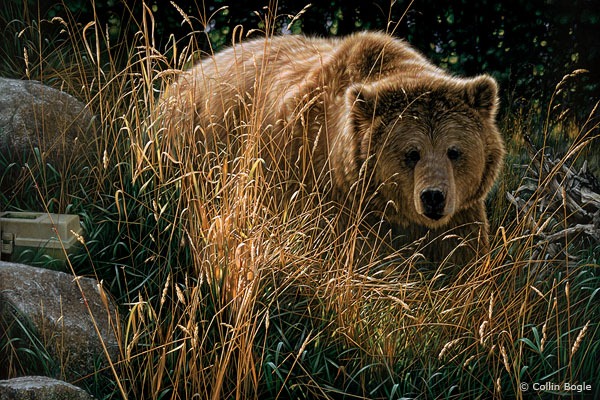 Realistic Wildlife Paintings by Collin Bogle | Amusing Planet